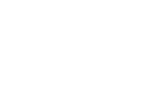 SALDwich White
